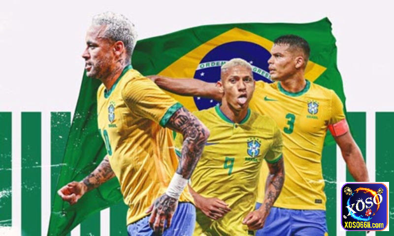 Thông tin nhận định bóng đá Brazil